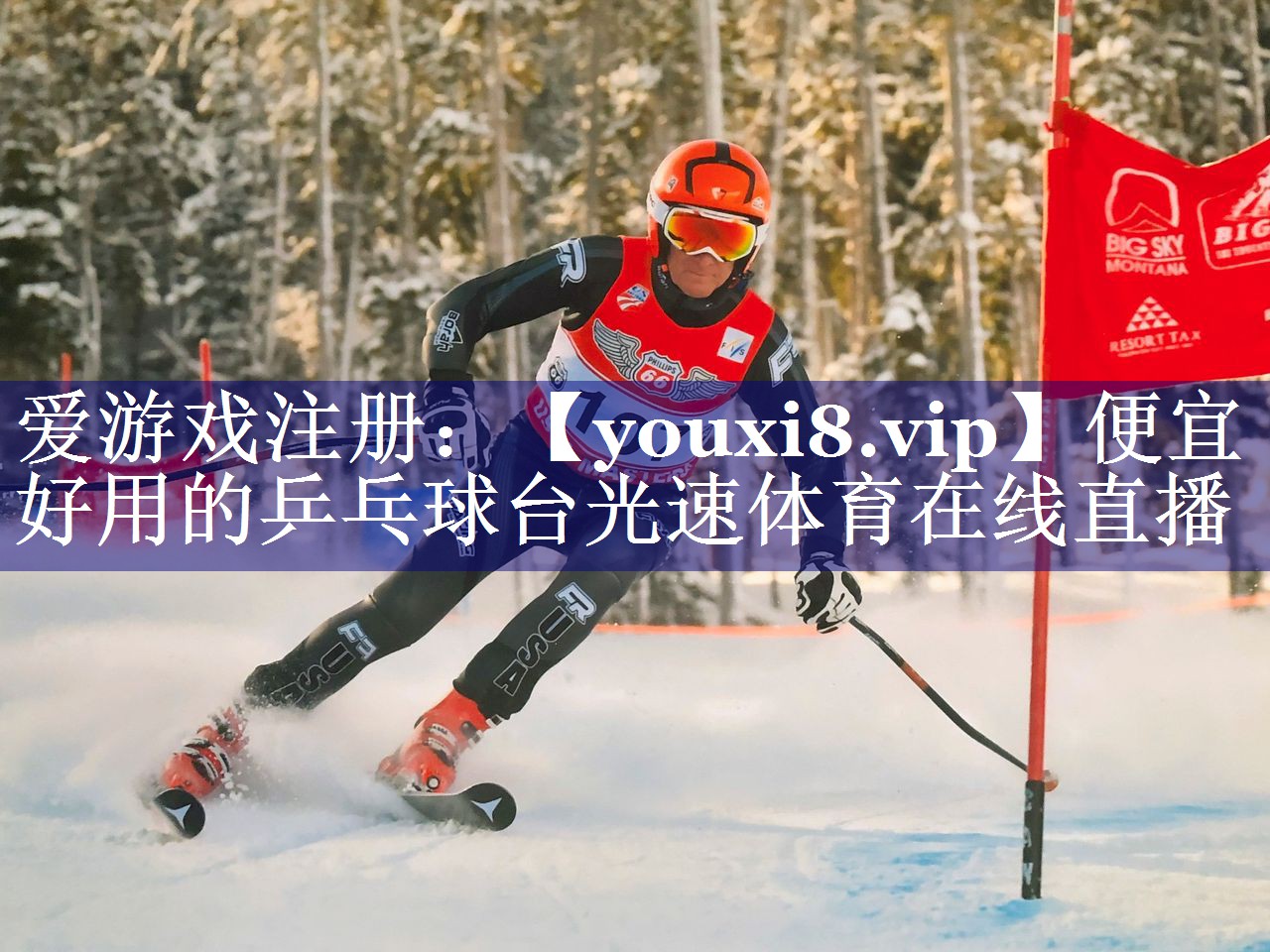 便宜好用的乒乓球台光速体育在线直播