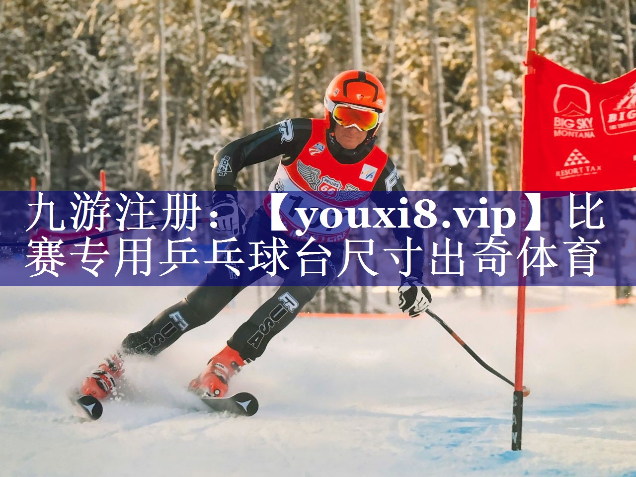 比赛专用乒乓球台尺寸出奇体育
