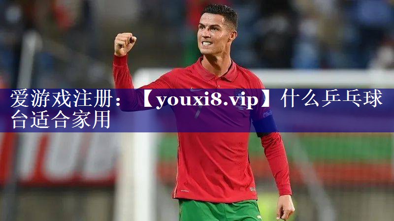 什么乒乓球台适合家用