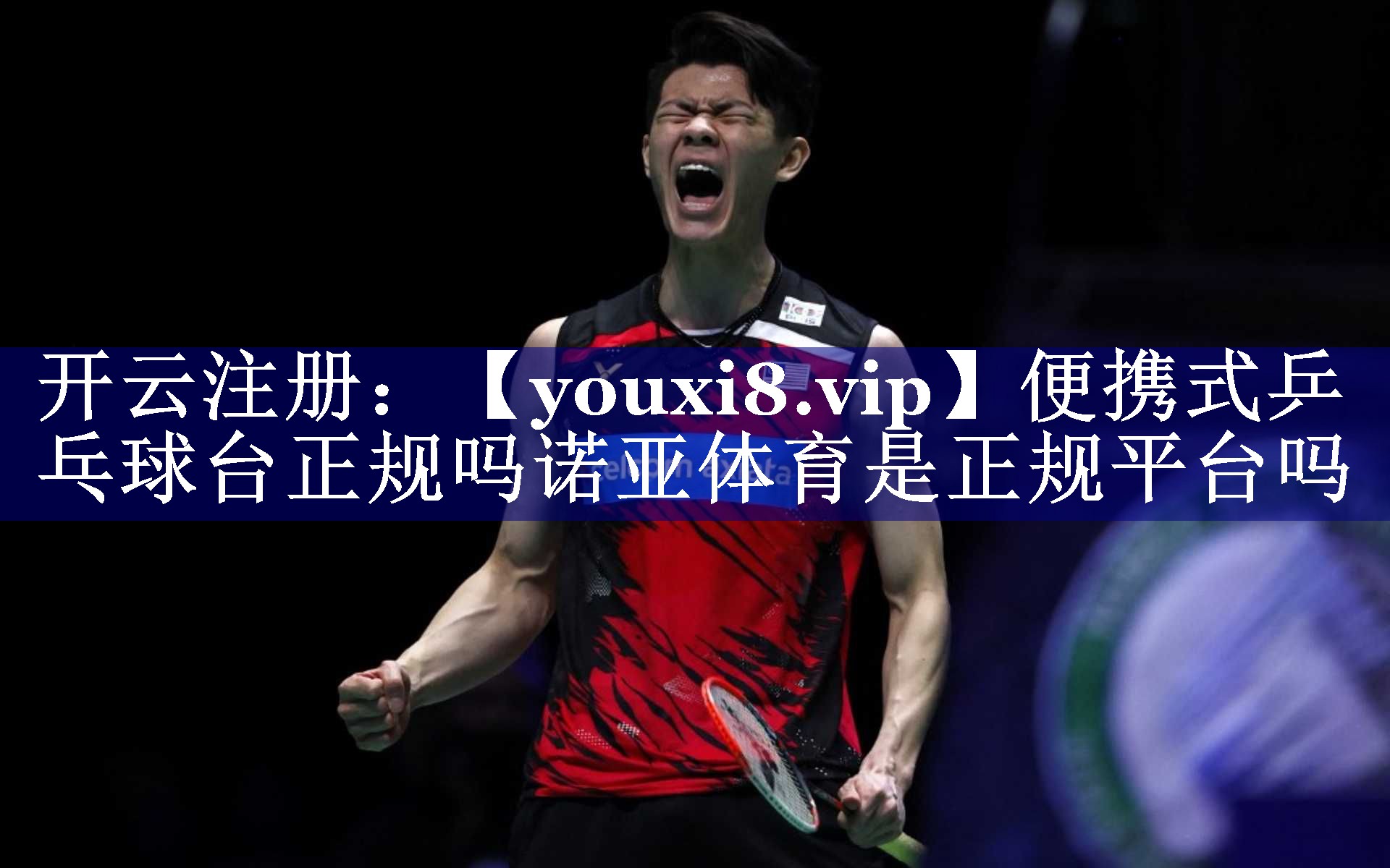 便携式乒乓球台正规吗诺亚体育是正规平台吗