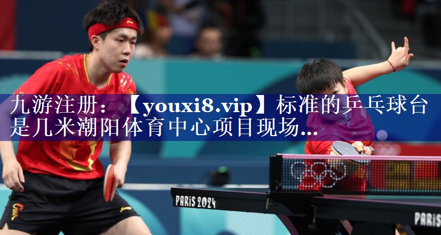 标准的乒乓球台是几米潮阳体育中心项目现场…